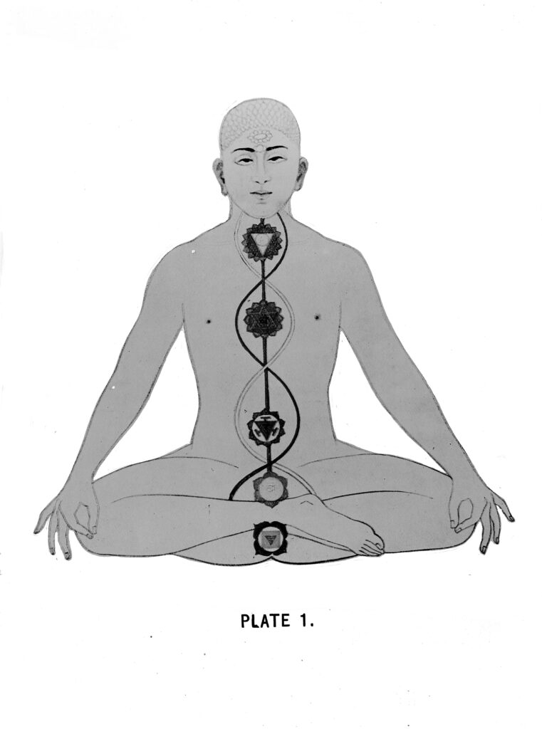 Printed plate showing the seven subtle-body centres of tantric physiology, 1919 edition.